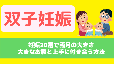 双子妊娠のお腹は妊娠週で臨月の大きさ 大きなお腹と上手に付き合う方法 子育てメディア Memorico