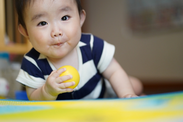 【赤ちゃんのおもちゃ】7ヶ月8ヶ月9ヶ月がハマる知育玩具18選