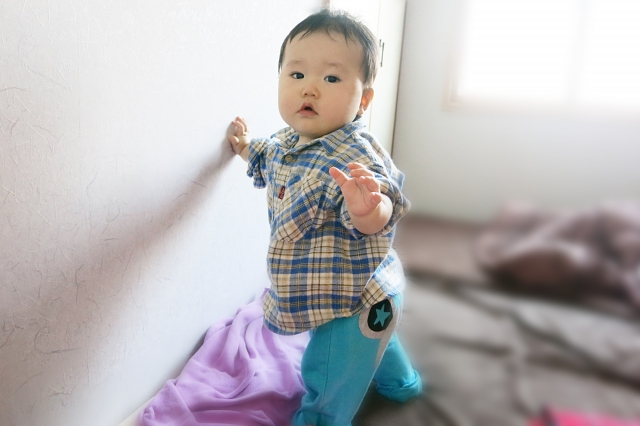 【生後9ヶ月】赤ちゃんの成長と、おすすめのおもちゃ