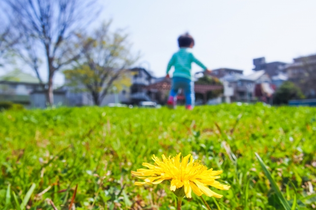 子育てに最適な環境とは？地域と住宅の選び方について解説